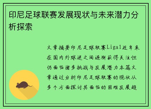 印尼足球联赛发展现状与未来潜力分析探索